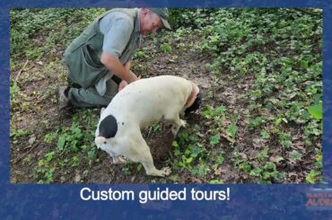 Gems of Northern Italy (Piemonte, Aosta, Liguria)