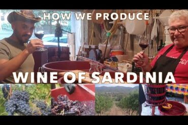 How we make Wine in Sardinia  The delicious Cannonau, Italian Wine of Sardinia.