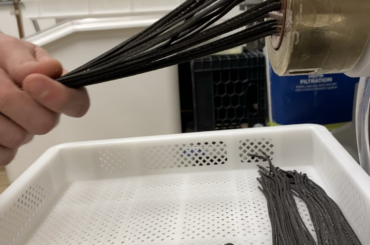 Squid Ink Linguini