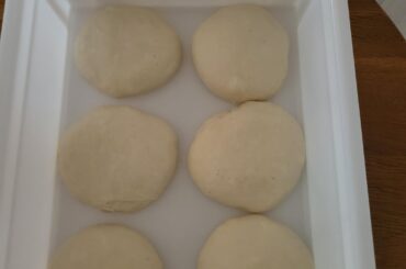 Fresh neapolitan pizza - advice welcome!