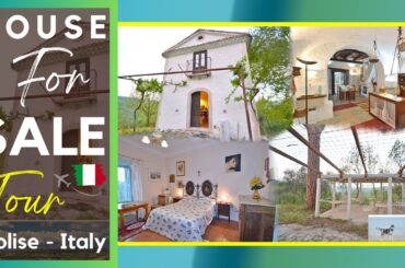 Beautiful traditional restored property with 5 hectares and gazebo for sale in Italy | Italian Tour