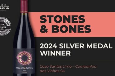 Stones & Bones Landscape | 2024 Silver Medal Winner