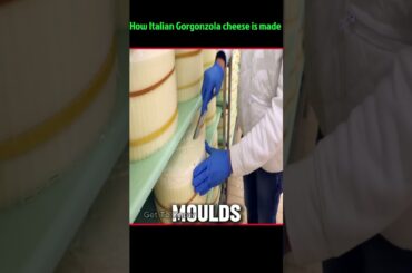 How italian Gorgonzola cheese is made #shorts #short