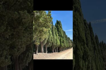 Chianti, Tuscany - always perfect, always superb- with its cypress trees, rolling hills, vineyards!!