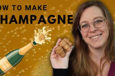 How to Make CHAMPAGNE and Traditional Method Sparkling Wines