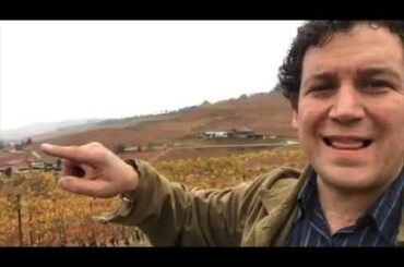 Barolo Unveiled: A Masterclass from the Piedmont Mountainside