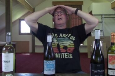 Interesting whites to expand your palate experience: Episode 682