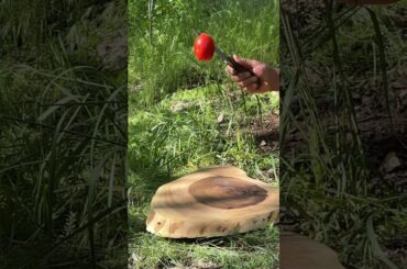 WILD Pizza: How to Make It from Scratch #pizza