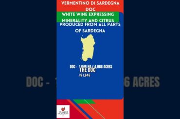 Italian DOC + DOCGs: Vermentino di Sardegna DOC #italianwine #howtopronounce #shorts #vermentino