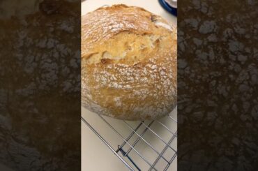Italian Crusty Bread #cooking #food #viral #fyp #ytshorts #bread #easy #recipe #chef