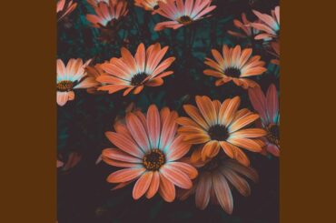 Hip Deluxe Italian Dining