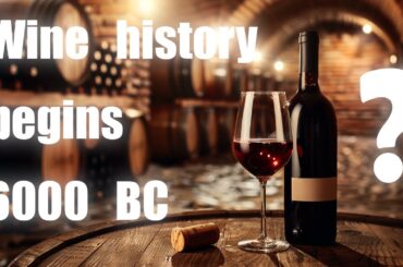 Curious facts about Wine