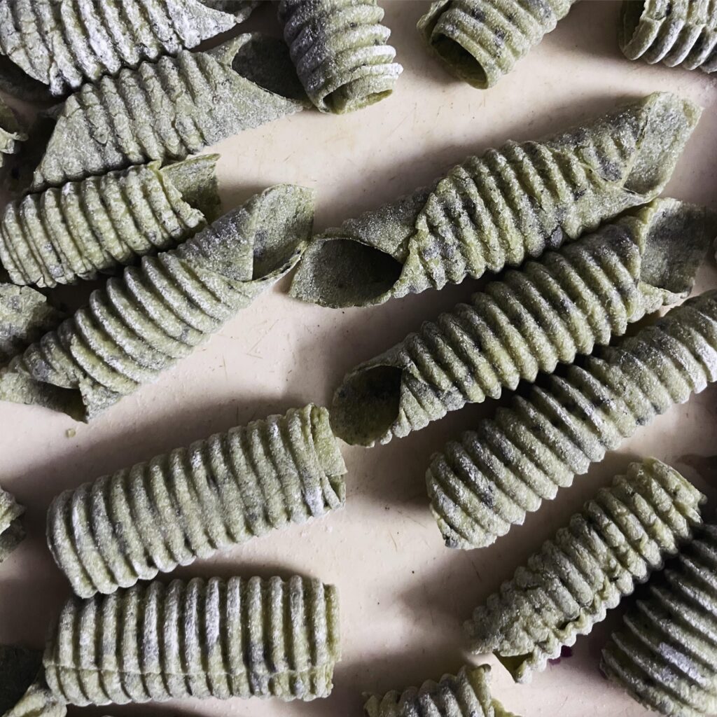 Spinach garganelli and rigatoni