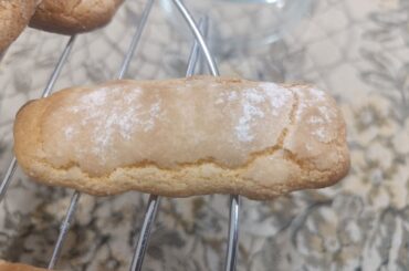 Homemade Ladyfinger and mascarpone... first time making them for tiramisu