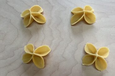 Ortensia with a tomato sauce and chicken