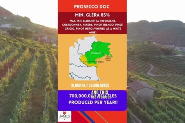 Italian DOC & DOCG Prosecco #italianwine #sparklingwine #proseccoi  #wine