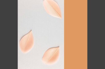 Uplifting Ambience for Fine Dining Italian