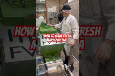 How Fresh Mozzarella Is Made By Machine!