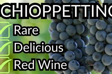 All About SCHIOPPETTINO (Including How to Pronounce It!)