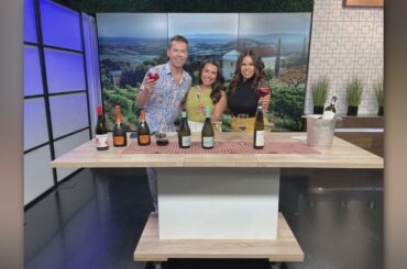 Transport to Italy with these wines as low as $7