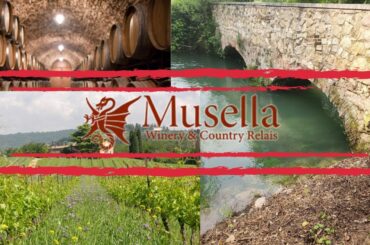 Musella Winery Review