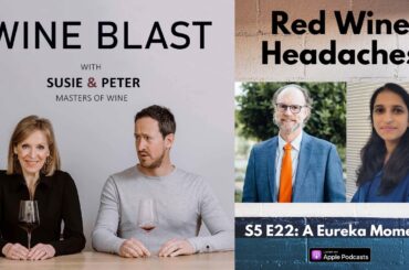 Red Wine Headaches - A Eureka Moment? Wine Blast podcast S5 E22 with Susie and Peter