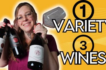 A Red Wine For the People (Tasting 3 Schioppettinos)