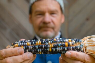 Corn: Treasure Of The Americas