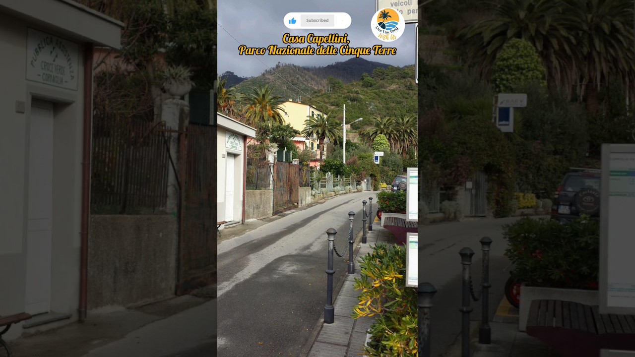 Walking in the streets of Manarola SP, Cinque Terre #cinqueterre #italy #europe #like #subscribe Walking in the streets of Manarola SP, Cinque Terre #cinqueterre #italy #europe #like #subscribe