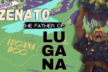 CORVINA 101: Intro & Winemaking | Zenato Rosso Veneto 2017 | HanDrinksSolo Video No. 279