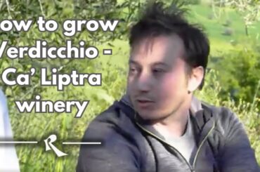 Roscioli Wine Club - Ca' Liptra winery