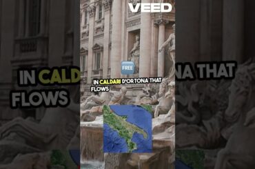 Free Wine Fountain in Italy?! Check This Out! #chihuahuafacts #funfacts #facts