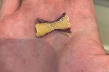 Homemade pasta made with dried beetroot (made a powder to make the design)