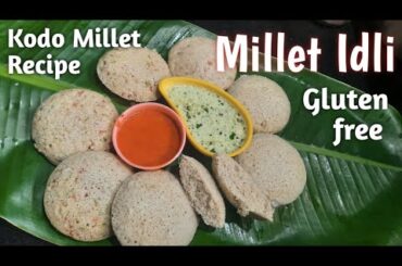 Millet Idli/Kodo Millet recipes/Millet recipes/#rasoishow/Millet Idli dosa batter/Millet Year 2023