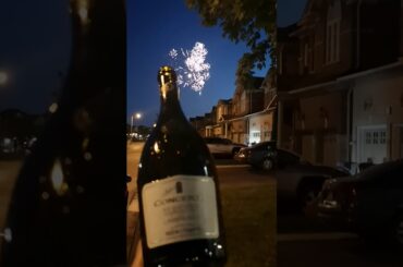 Wine By The Bottle: Happy 4th of July with Medici Ermete Concerto Lambrusco watching some fireworks