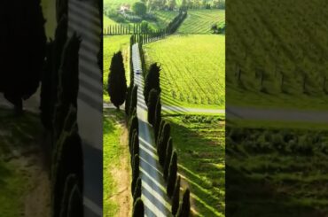 Visual journey in Tuscany #travel #italy #views #villa #shorts