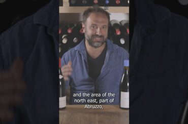 Why we love Montepulciano d' Abruzzo - De Fermo winery