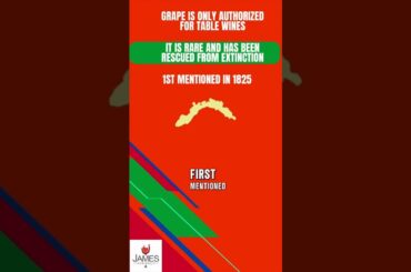 How to Pronounce Ruzzese #howtopronounce #italy #wine #shorts