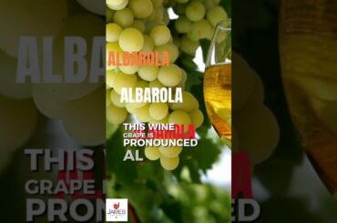 How to Pronounce Albarola - Blending Grape from Liguria #howtopronounce #italianwine #shorts