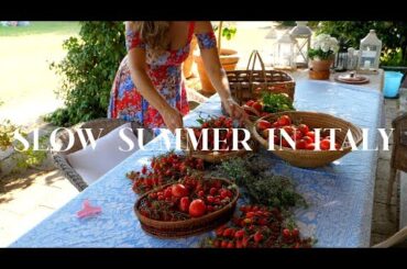 RENOVATING A RUIN: Preserving Tomatoes in Italy, Slow Summer Days, Cottage Building Continues Ep 58