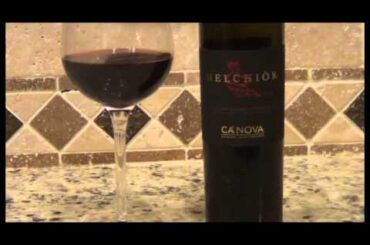 The Grape Explorer talking about Nebbiolo and a Wine from Piedmonte called Melchior