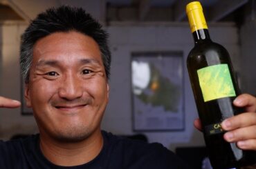 VERMENTINO is the Perfect AFFORDABLE Summer Sipper!!!