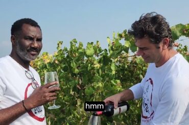 Winemaking at a 48 Year-Old Vineyard in Italy