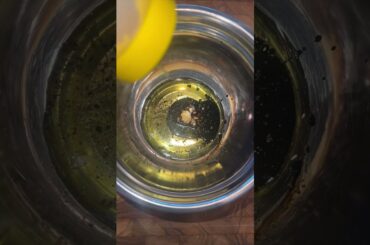 $800 Balsamic Vinegar! 100 Years Old