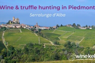 Discovering Barolo wine and truffle hunting in the medieval Barolo village of Serralunga d'Alba
