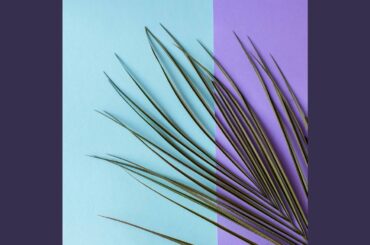 Suave Backdrops for Deluxe Italian Dining