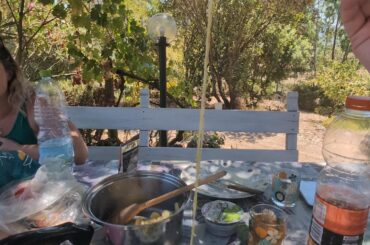 Orecchiette with pesto, mozzarella and parmesan