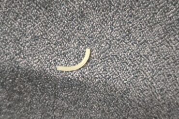 Bent pasta noodle???