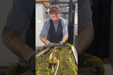 Uncover Italy’s Hidden Seafood Legend: Mussel Shucking! #shorts #italy