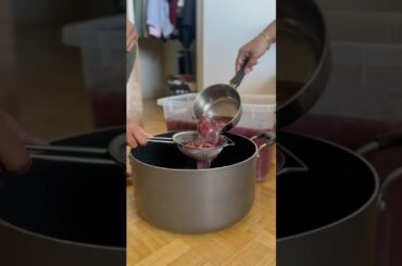 Telugu Vlogs || Canada vlogs || Homemade Grape Wine-2 #shorts #youtubeshorts #teluguvlogs #vaasvlogs